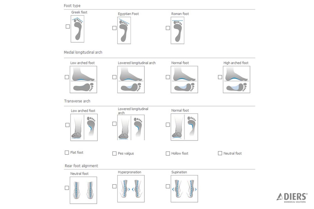 DIERS pedogait Report: Foot Type / Foot Characteristics