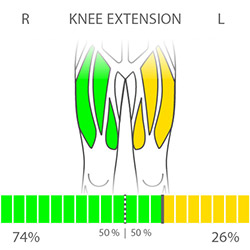 DIERS myoline: Knee Extension (Left-Right)