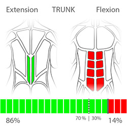 DIERS myoline: Knee Extension (Left-Right)