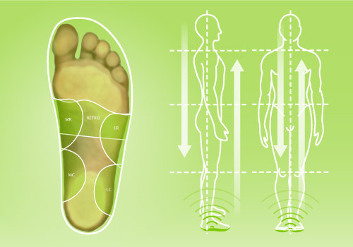 DIERS posture balance: Posture Correcting Insoles