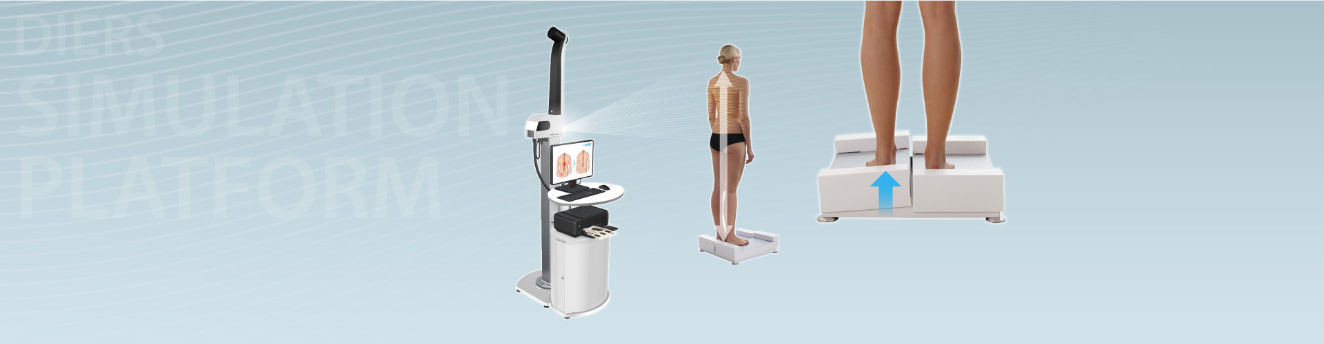 DIERS simulation platform: Evaluation of Leg Length Differences